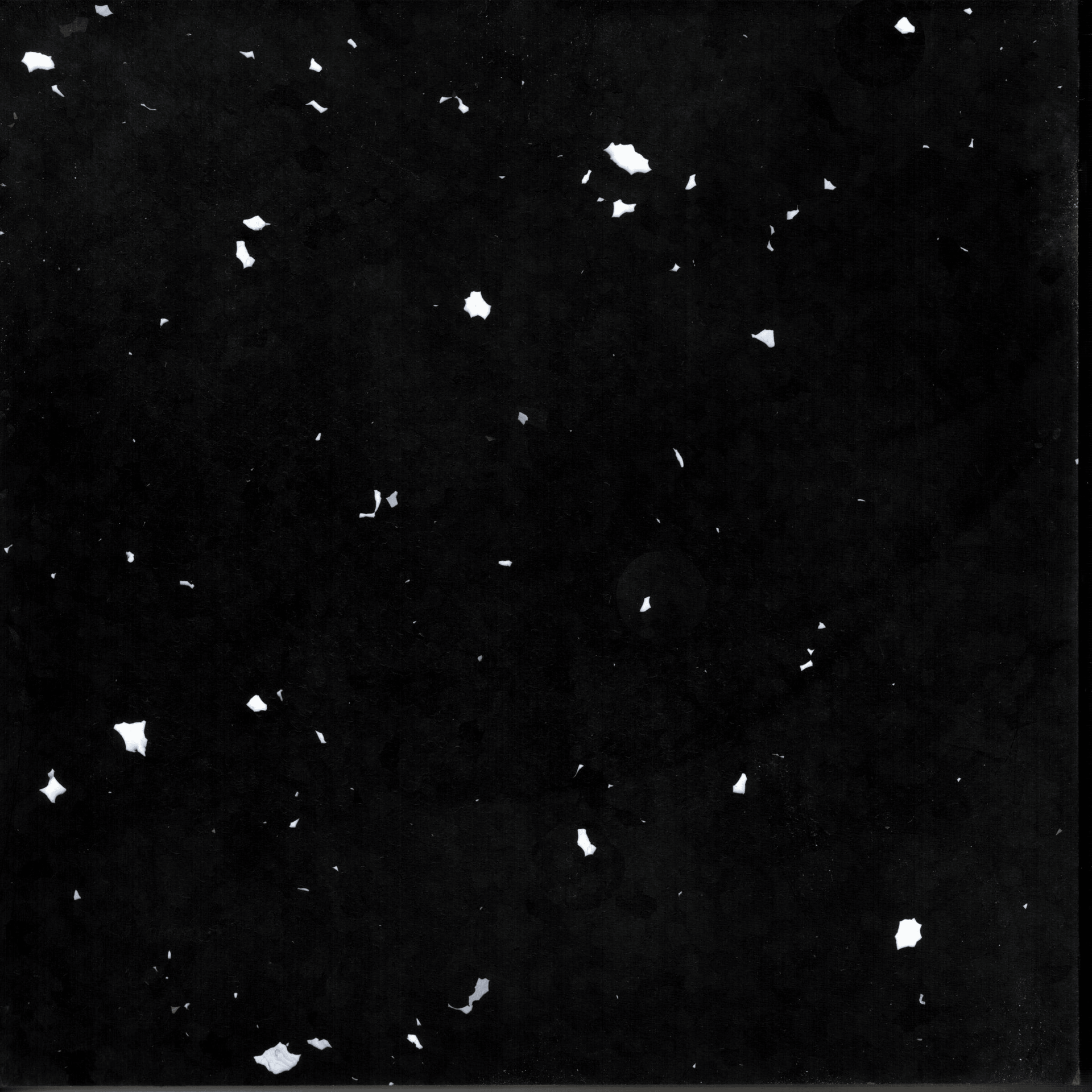 Salt Rock — surface detail.
