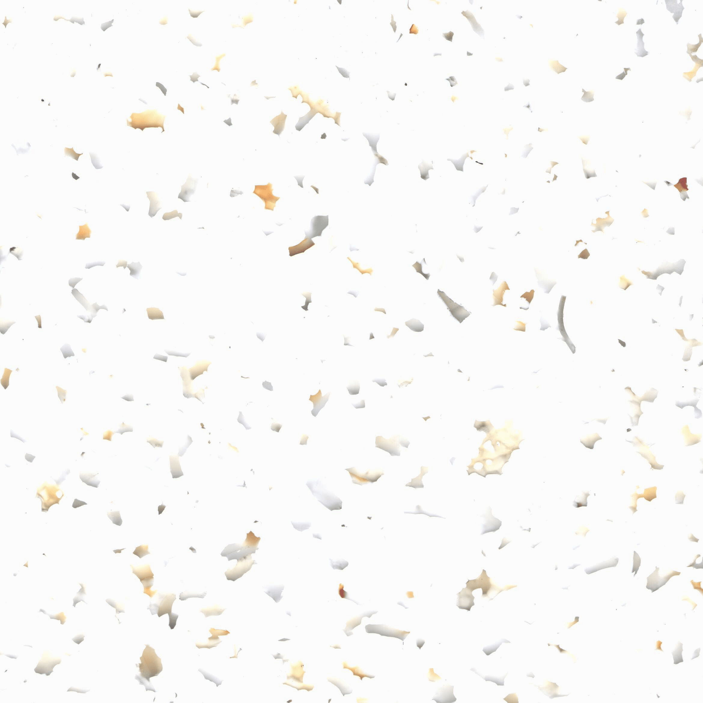 Terra — surface detail.