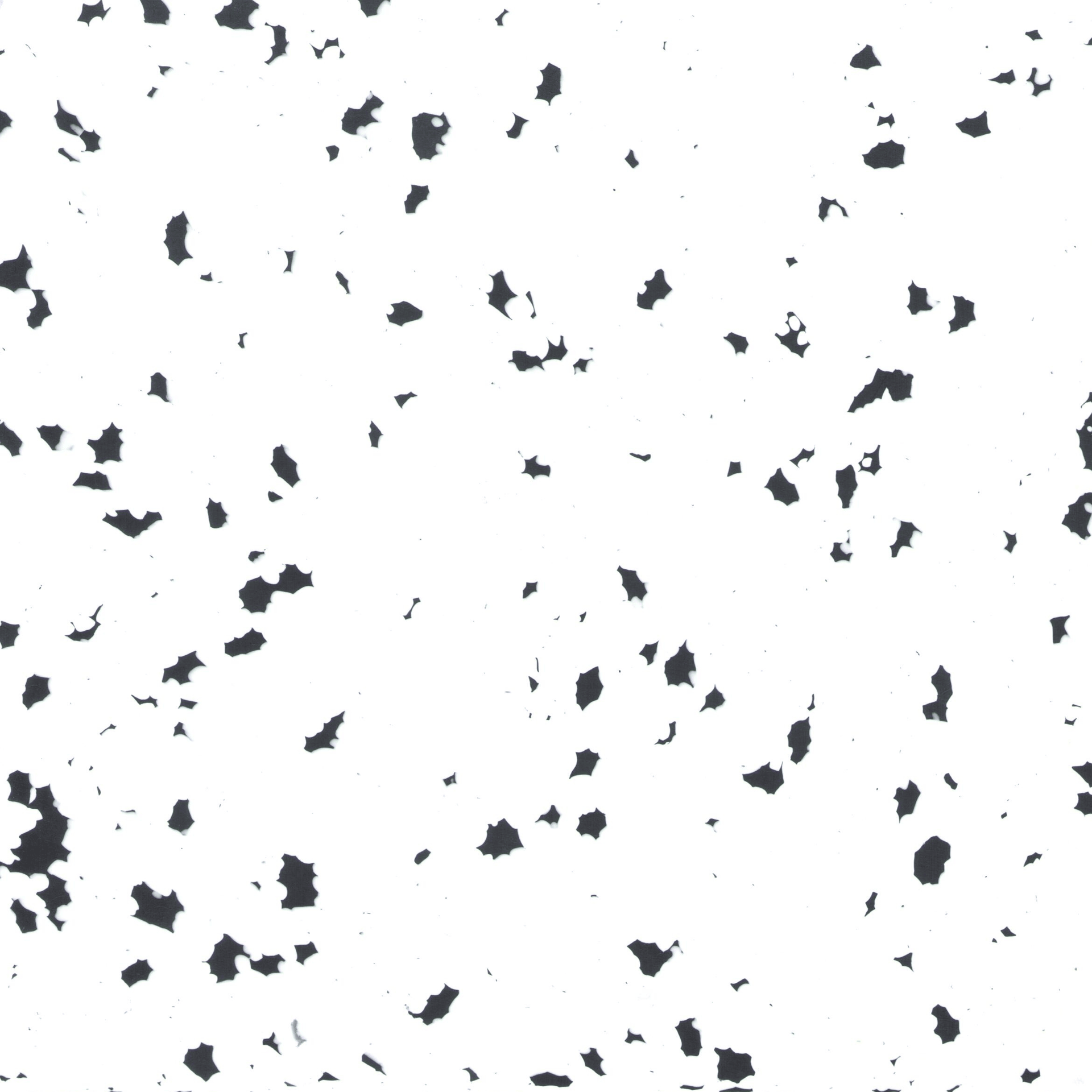 White Stone — surface detail.
