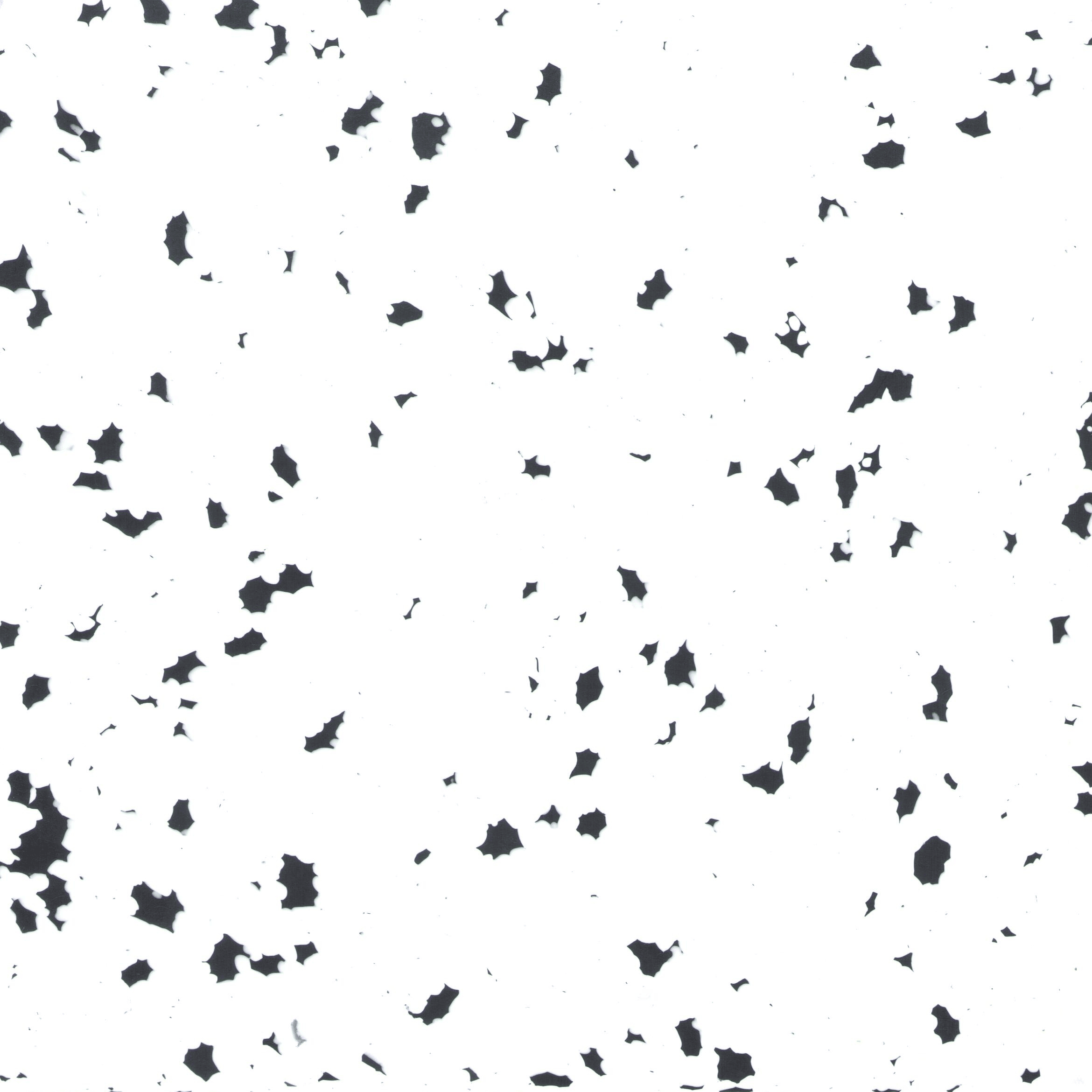 White Stone — surface detail.