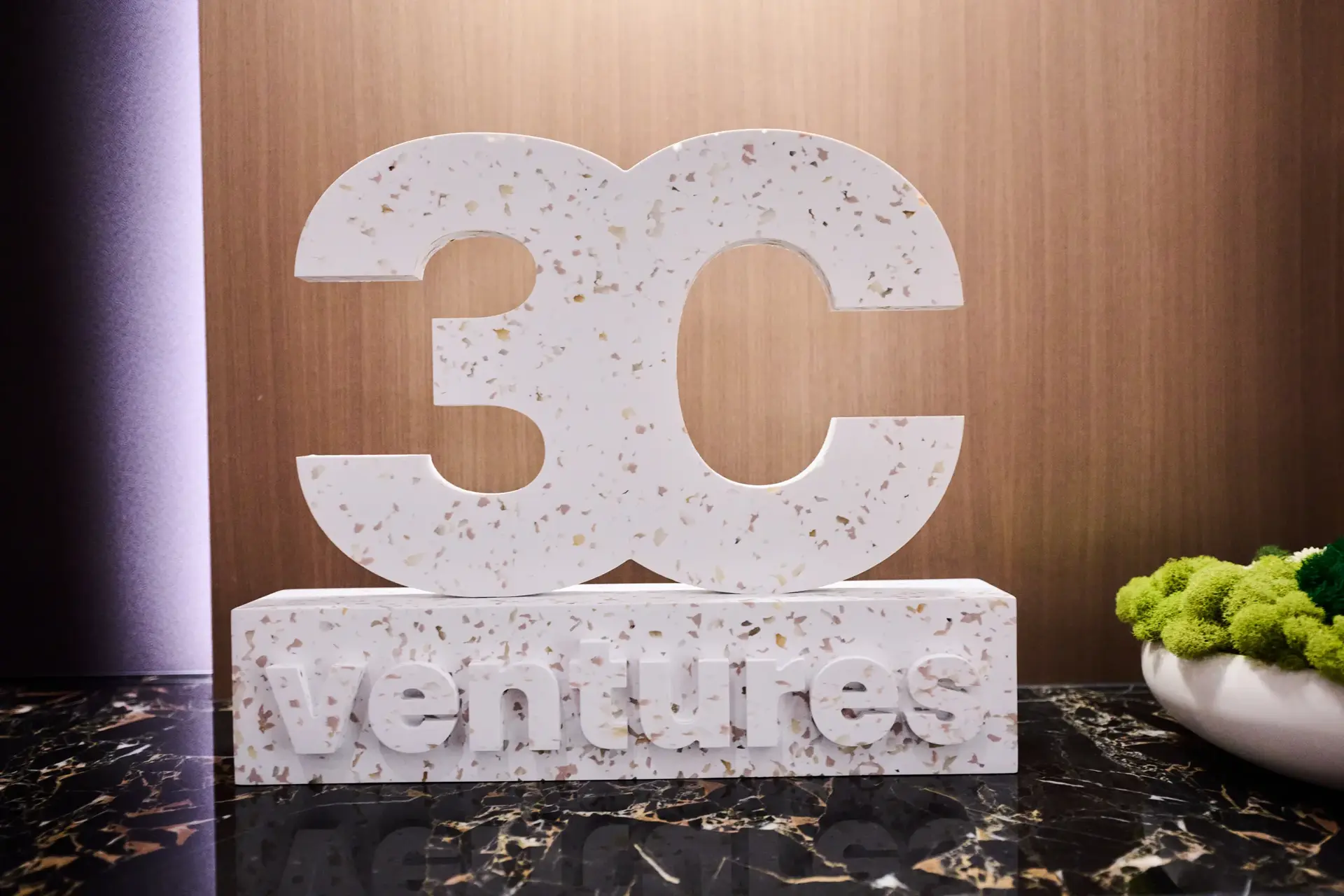 3C Ventures, Las Vegas, NV — Terra surface